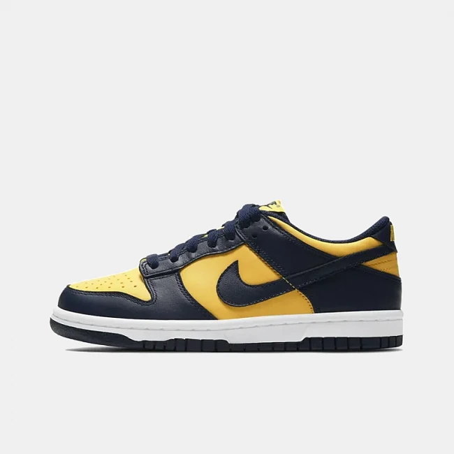 Nike Dunk Low Michigan