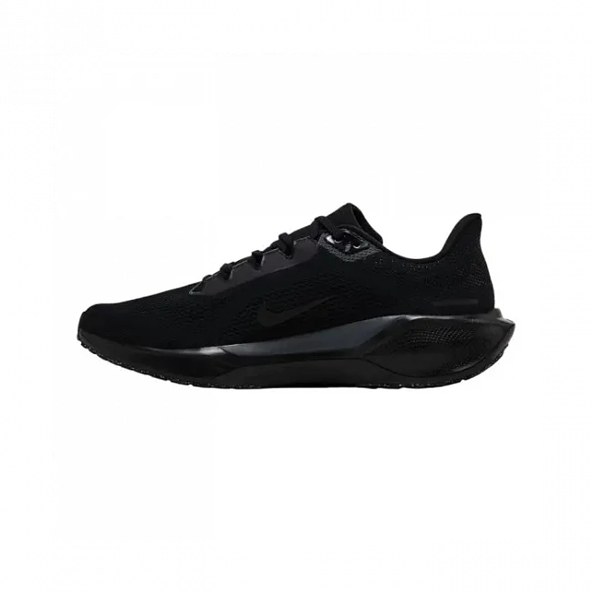 картинка Nike Air Zoom Pegasus 41 'Black Anthracite' магазин Одежда+ являющийся официальным дистрибьютором в России 