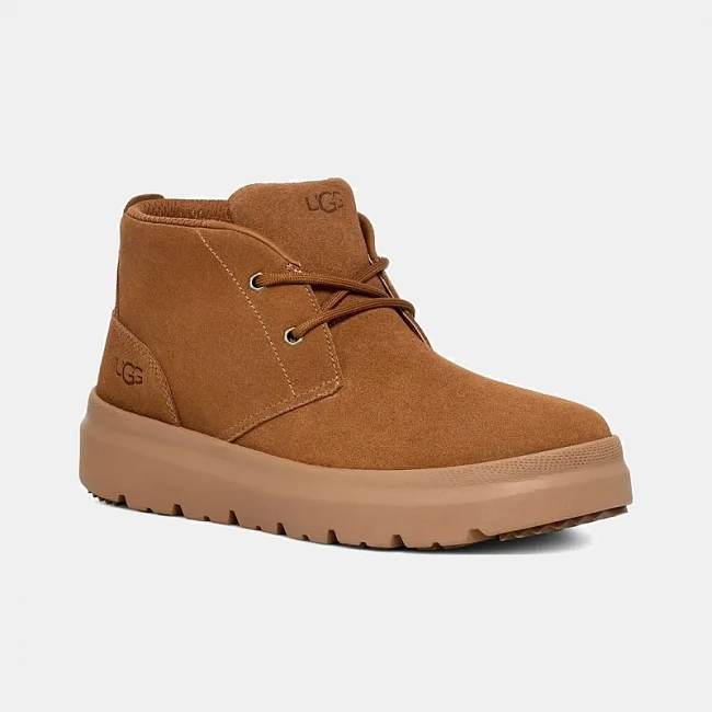UGG Burleigh Chukka Chestnut
