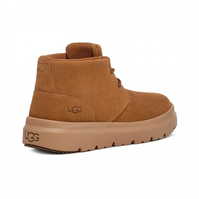 картинка UGG Burleigh Chukka Chestnut магазин Одежда+ являющийся официальным дистрибьютором в России 